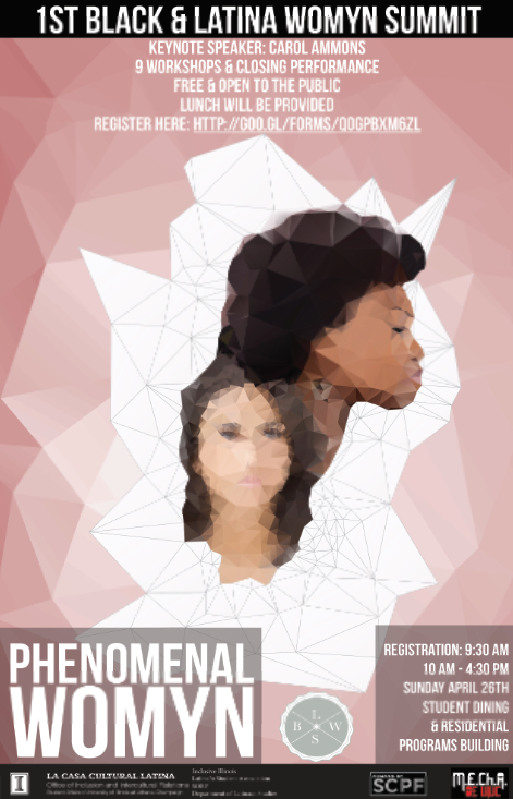 Poster from 2015 BLWS featuring fragmented headshot illustrations of two females